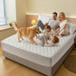 ⏰🔥LIMITED TIME 50% OFF! 🌤️ Waterproof Quilted Mattress Cover & Pillowcases Set – Protect, Comfort & Easy to Clean ✨🛏️